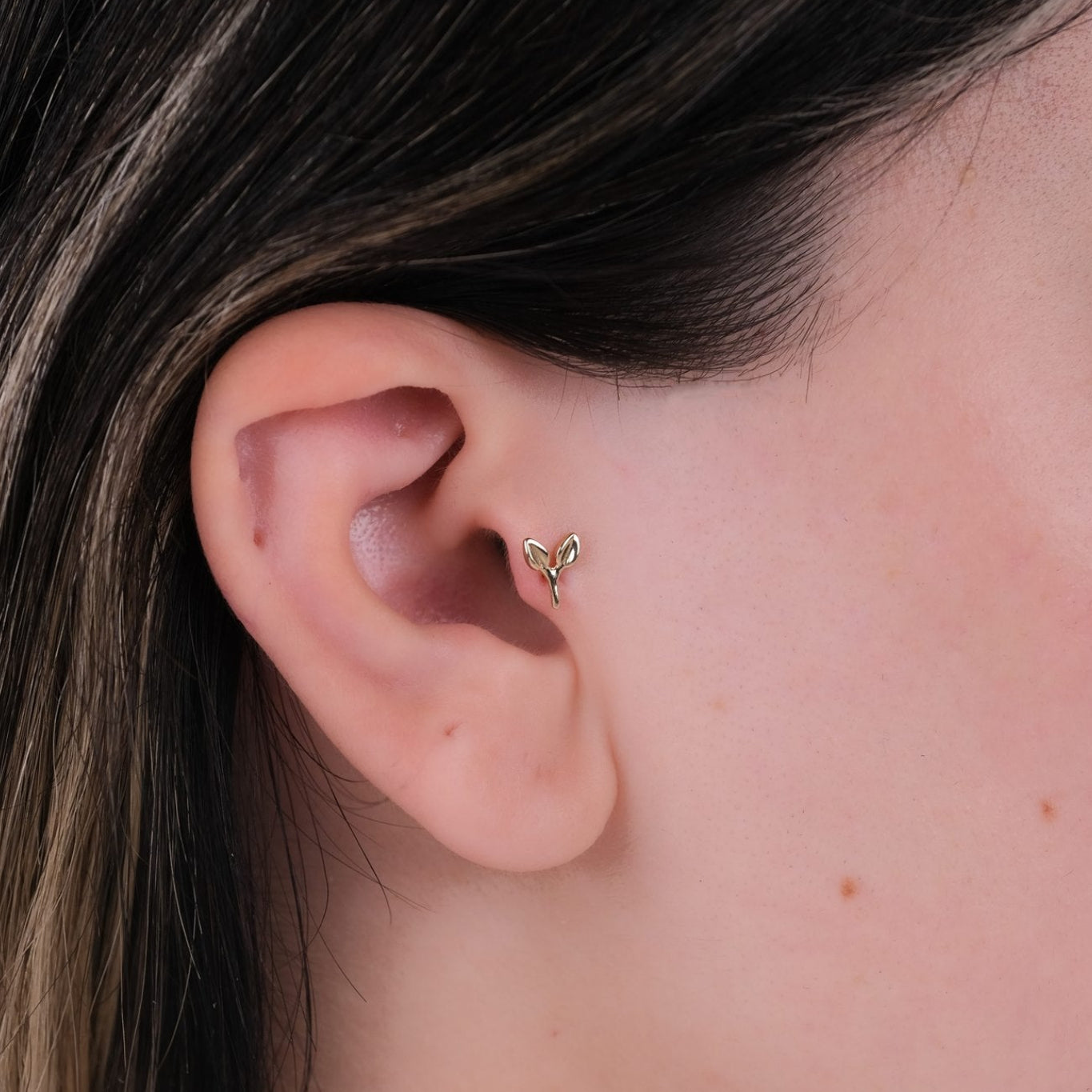 Çift Dal Piercing - 14 Ayar Altın